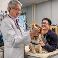 Thornhill Pet Hospital ico