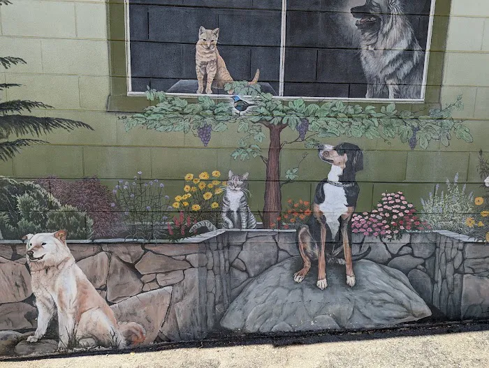 Thornhill Pet Hospital Picture 4