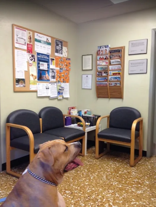 Thornhill Pet Hospital Picture 5
