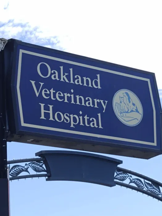 Oakland Veterinary Hospital Picture 4