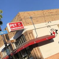 Pet Emergency Treatment Services: Barlia Michael DVM ico