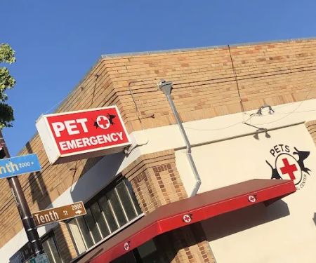 Pet Emergency Treatment Services: Barlia Michael DVM