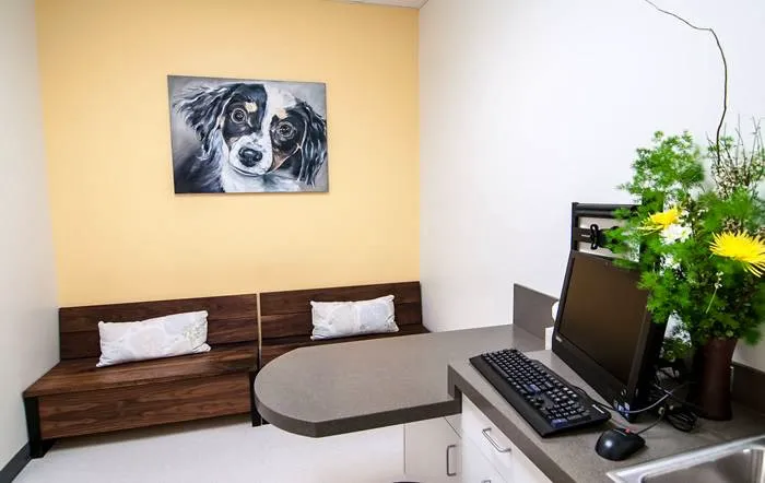 PETS Referral Center Picture 1