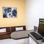 PETS Referral Center