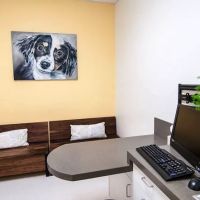 PETS Referral Center ico