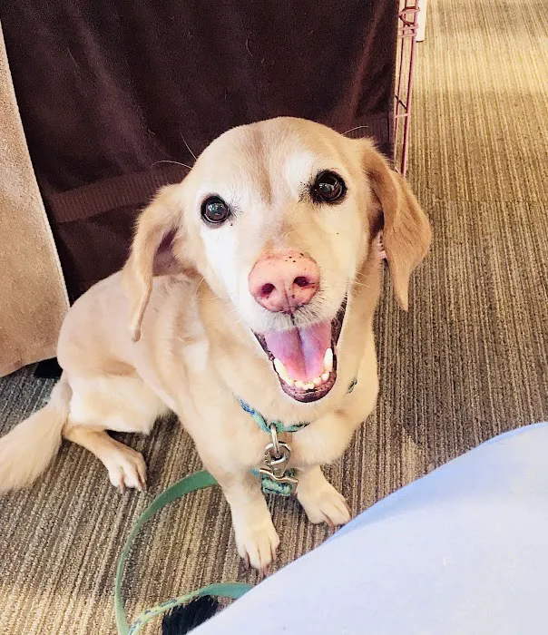 PETS Referral Center Picture 8