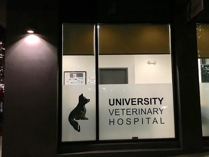 University Vet Hospital Picture 3