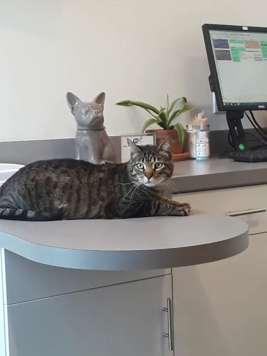 University Vet Hospital Picture 5