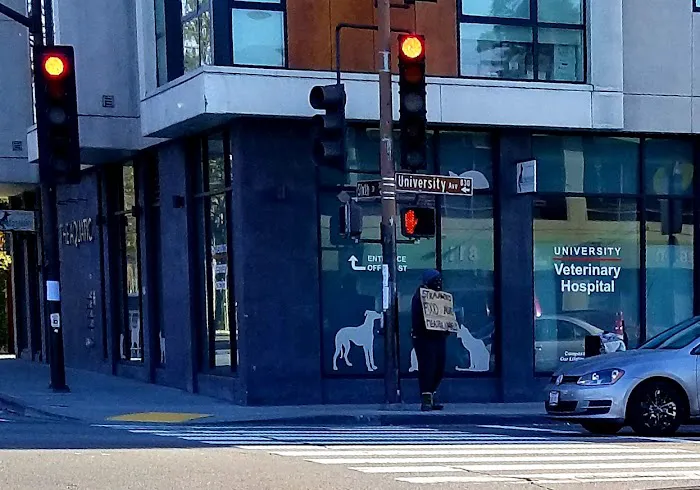 University Vet Hospital Picture 9