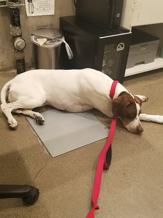 University Vet Hospital Picture 7