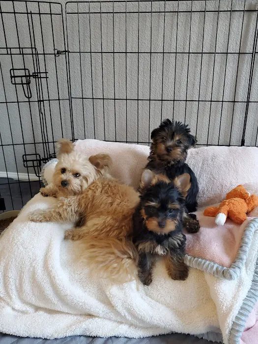 University Vet Hospital Picture 10