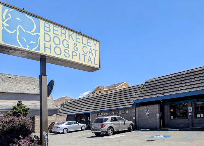 Berkeley Dog & Cat Hospital Picture 5