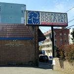 Berkeley Dog & Cat Hospital: Zaplinski Samantha DVM