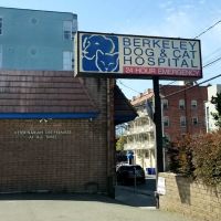 Berkeley Dog & Cat Hospital: Zaplinski Samantha DVM ico