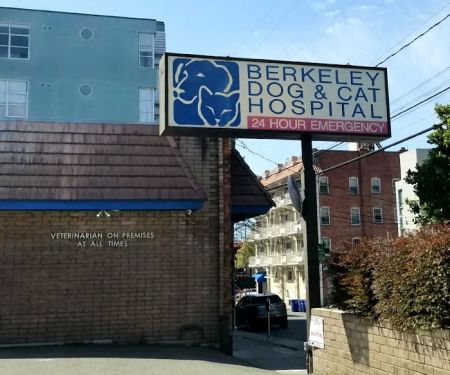 Berkeley Dog & Cat Hospital: Zaplinski Samantha DVM