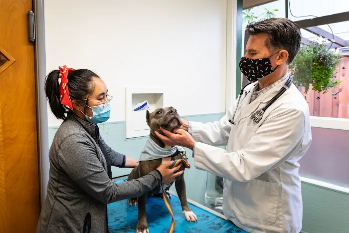 Campus Veterinary Clinic Picture 2