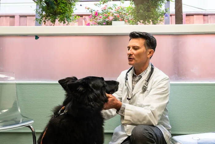 Campus Veterinary Clinic Picture 3