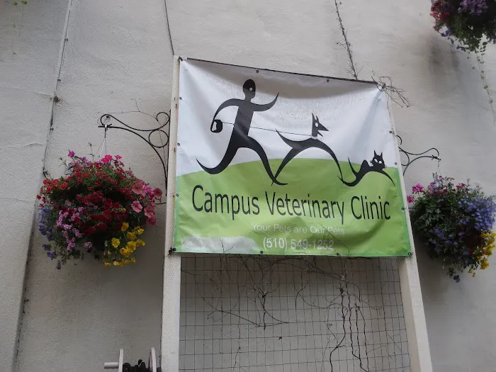 Campus Veterinary Clinic Picture 9