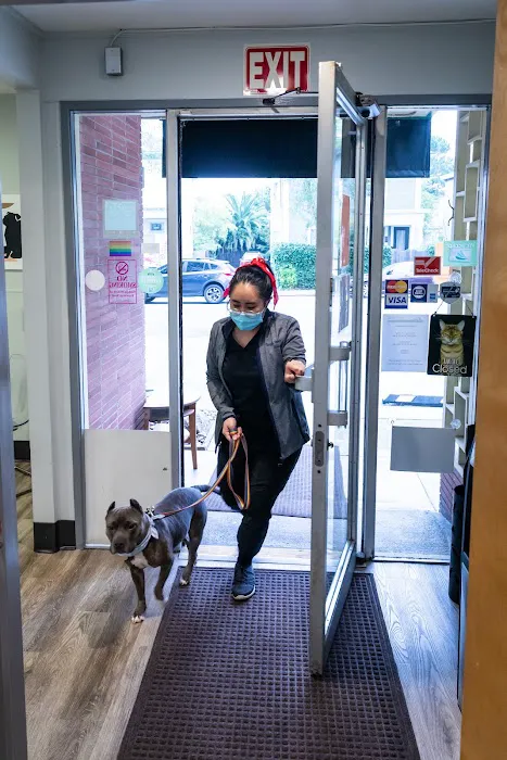 Campus Veterinary Clinic Picture 10