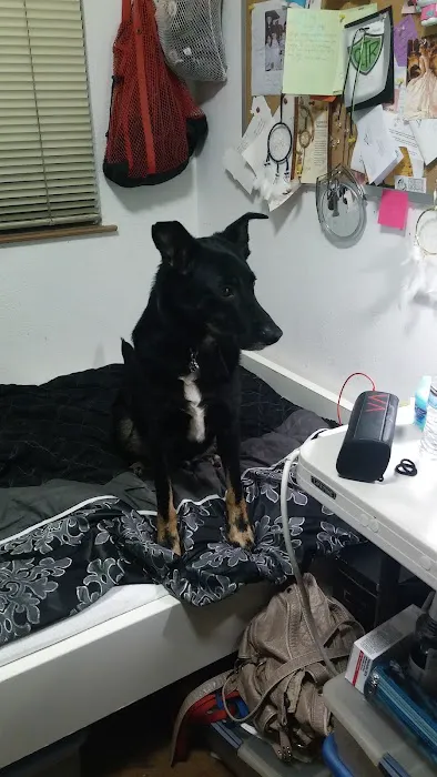 Banfield Pet Hospital Picture 5
