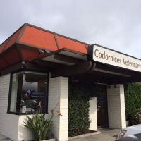 Codornices Veterinary Clinic ico