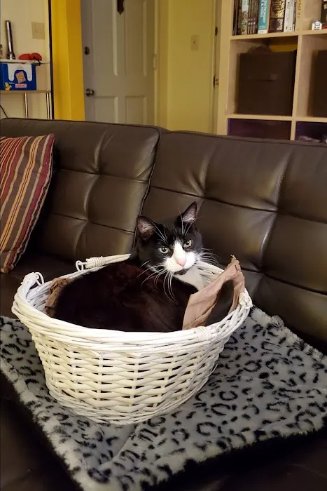 Codornices Veterinary Clinic Picture 3