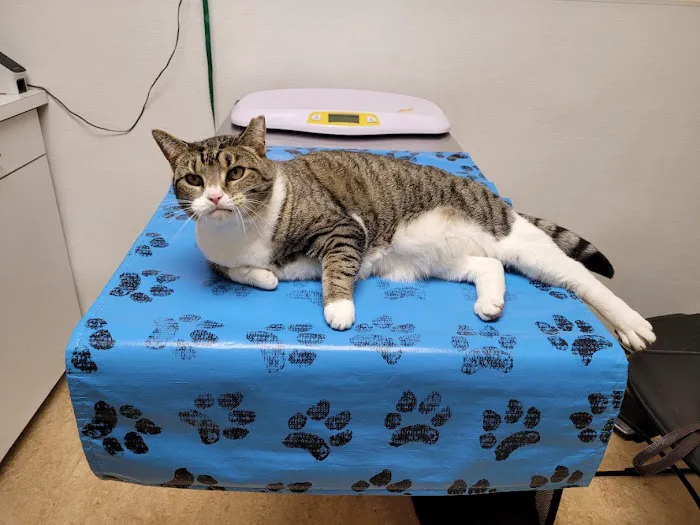St. Matthews Animal Clinic Picture 4