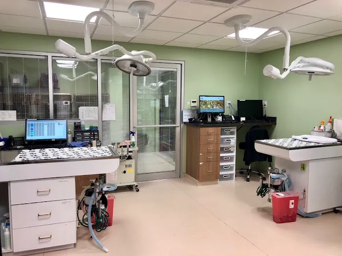 St. Matthews Animal Clinic Picture 8