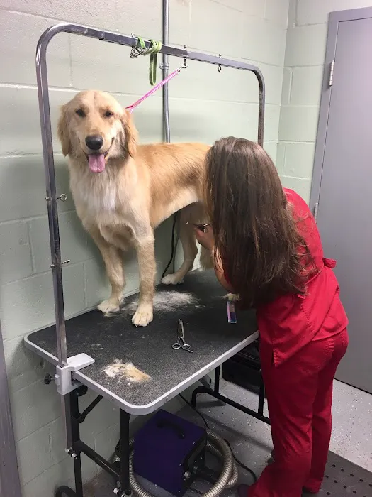 St. Matthews Animal Clinic Picture 10