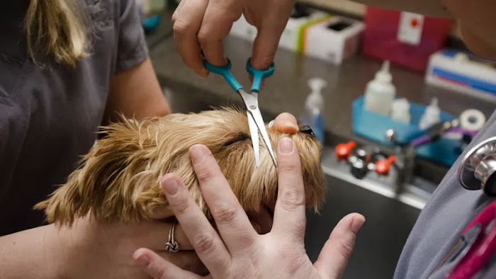 East Louisville Animal Hospital Picture 1