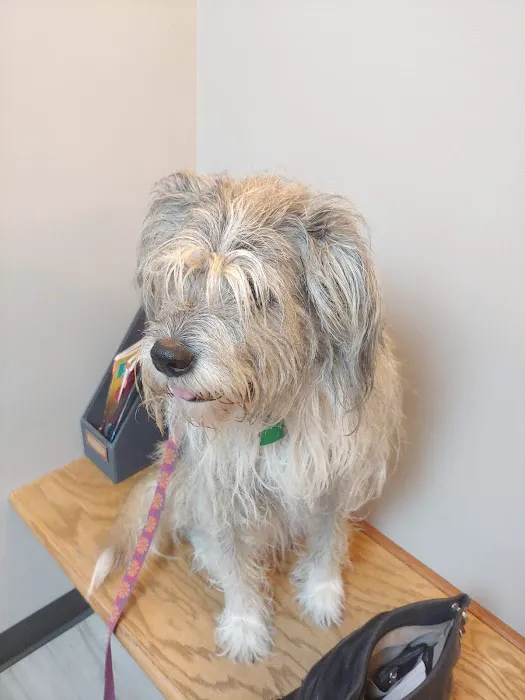 East Louisville Animal Hospital Picture 3