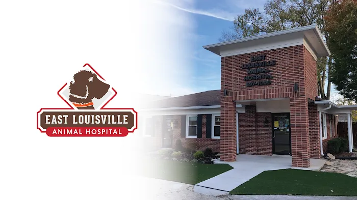 East Louisville Animal Hospital Picture 2