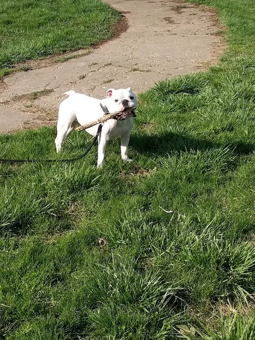 East Louisville Animal Hospital Picture 9