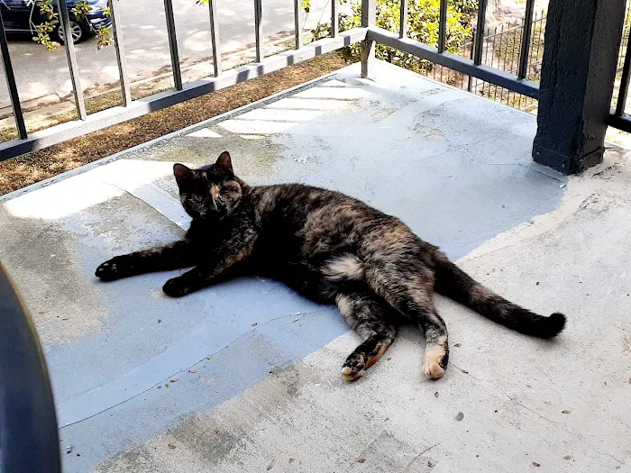 Brownsboro Animal Clinic Picture 2