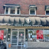 Seneca Animal Hospital ico