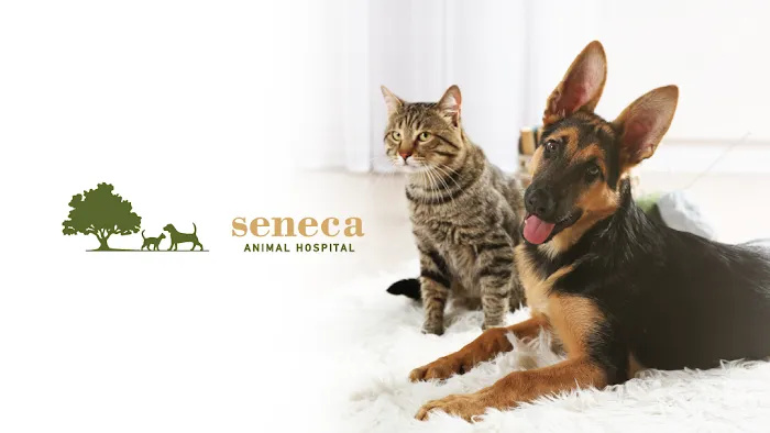 Seneca Animal Hospital Picture 3