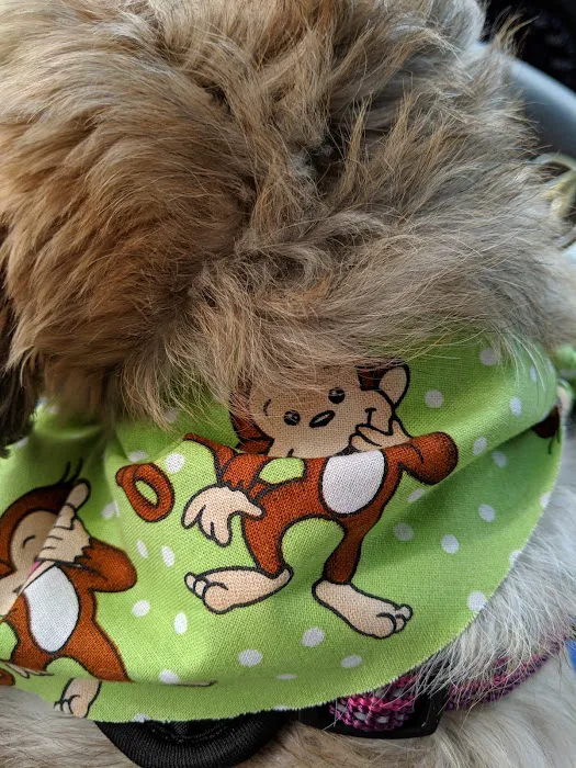Seneca Animal Hospital Picture 9