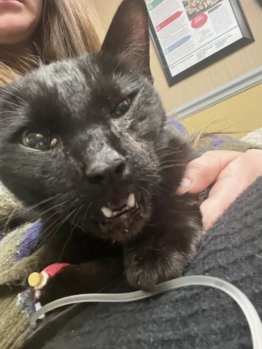 Animal Emergency Center Picture 4