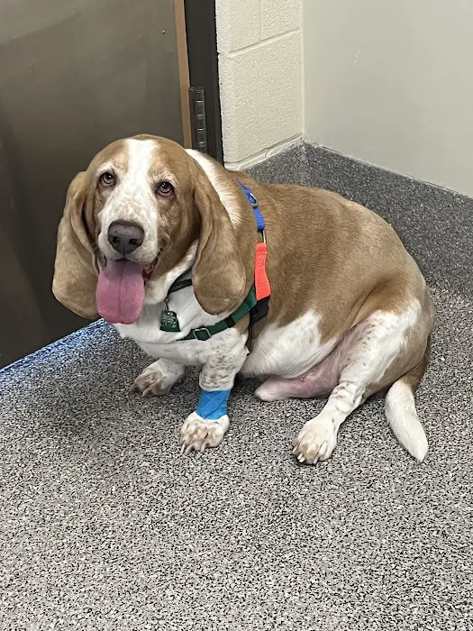 Tail-End Vetcare Picture 5