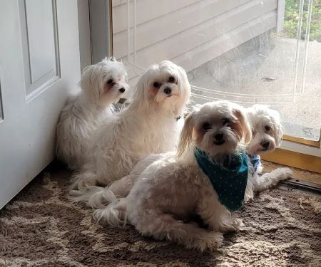 Elk Creek Animal Hospital of Hikes Point