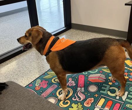 PetVet365 Pet Hospital Jeffersonville IN/North Louisville
