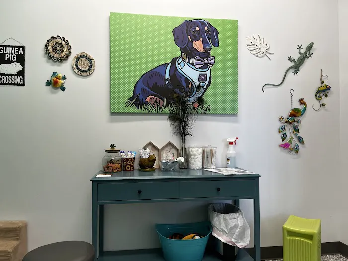 PetVet365 Pet Hospital Jeffersonville IN/North Louisville Picture 4