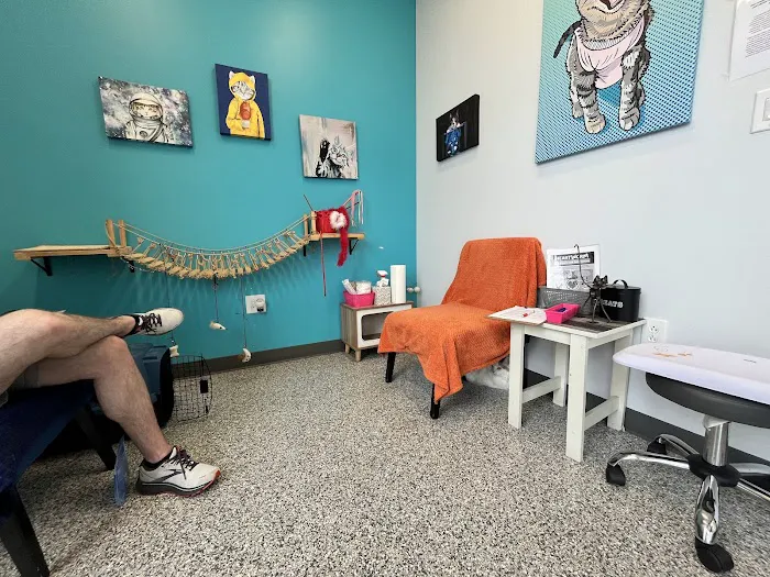PetVet365 Pet Hospital Jeffersonville IN/North Louisville Picture 7