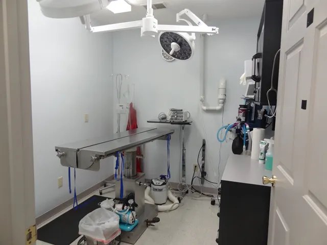 Access Veterinary Care Picture 1
