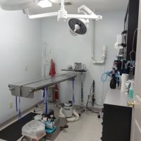 Access Veterinary Care ico
