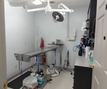 Access Veterinary Care
