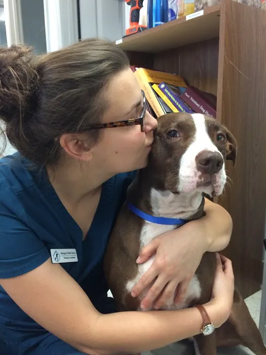 Access Veterinary Care Picture 3