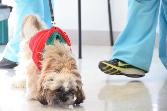 Access Veterinary Care Picture 4