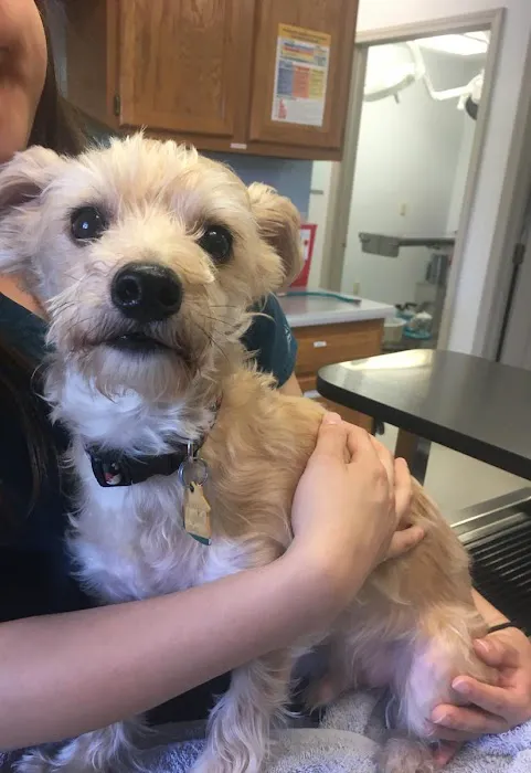 Access Veterinary Care Picture 9