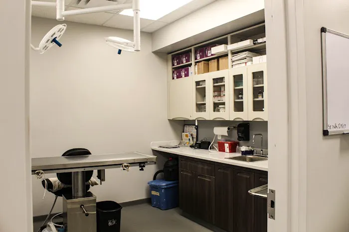 Johnson Animal Clinic Picture 2